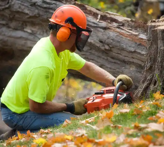 tree services Lake Benton